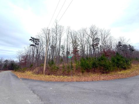 0 Wohalie Lane South Pittsburg TN 37380