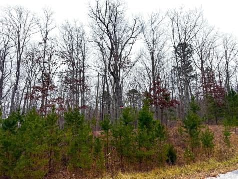 0 Wohalie Lane South Pittsburg TN 37380