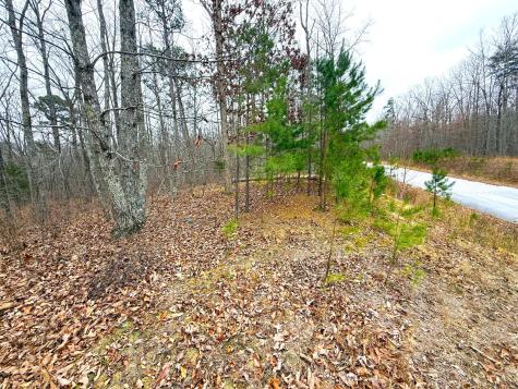 0 Wohalie Lane South Pittsburg TN 37380