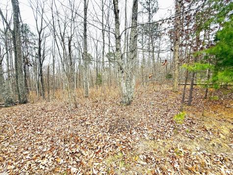 0 Wohalie Lane South Pittsburg TN 37380