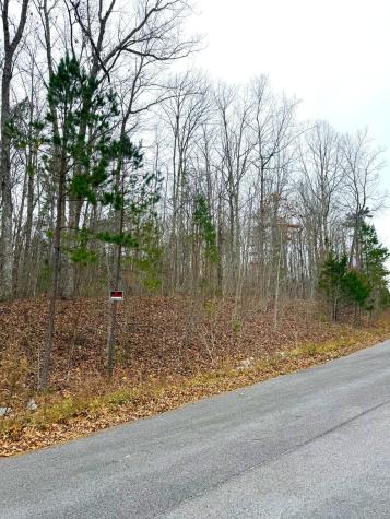 0 Wohalie Lane South Pittsburg TN 37380