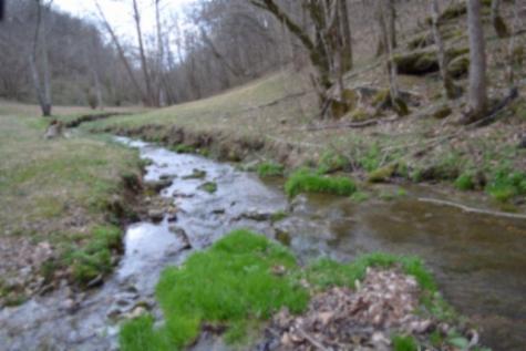 290 Hazel Huffines Lane Whitleyville TN 38588