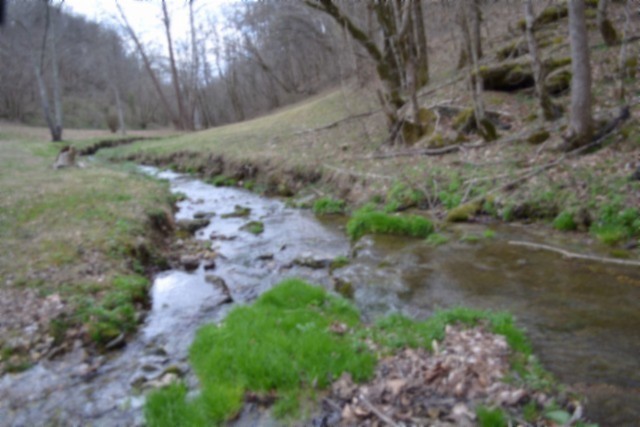 290 Hazel Huffines Lane Whitleyville TN 38588