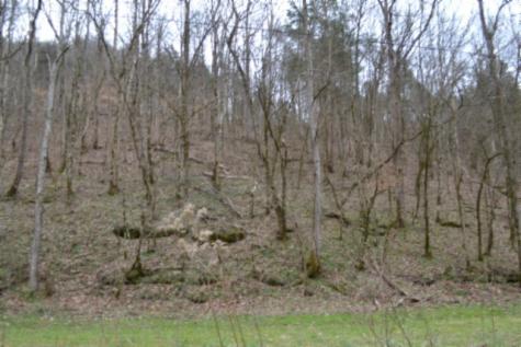 290 Hazel Huffines Lane Whitleyville TN 38588