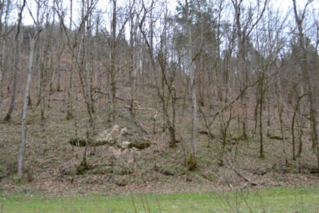 290 Hazel Huffines Lane Whitleyville TN 38588
