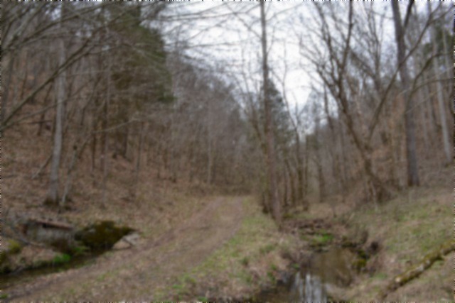 290 Hazel Huffines Lane Whitleyville TN 38588