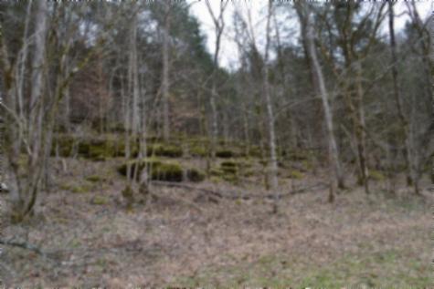 290 Hazel Huffines Lane Whitleyville TN 38588