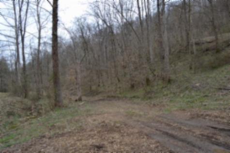 290 Hazel Huffines Lane Whitleyville TN 38588