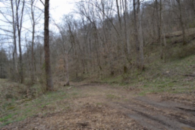 290 Hazel Huffines Lane Whitleyville TN 38588