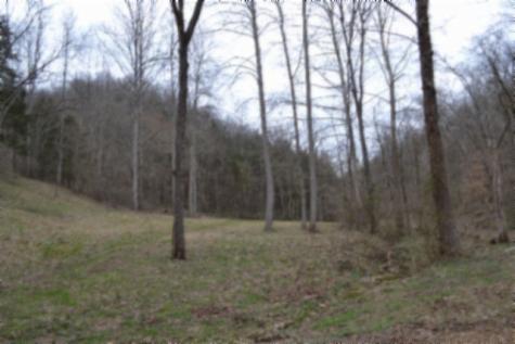 290 Hazel Huffines Lane Whitleyville TN 38588