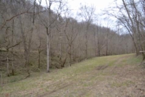 290 Hazel Huffines Lane Whitleyville TN 38588