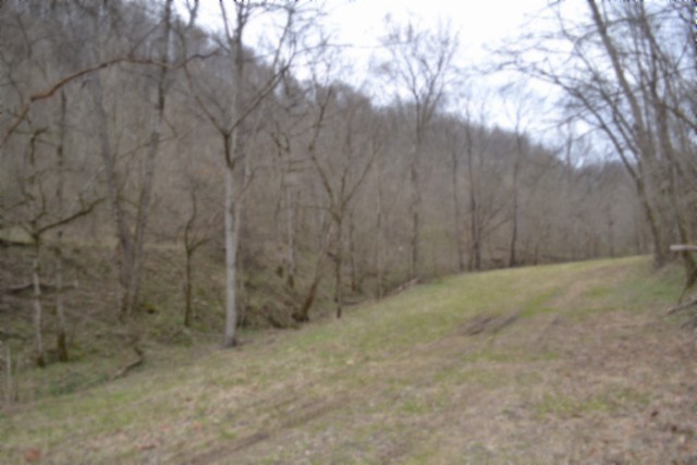 290 Hazel Huffines Lane Whitleyville TN 38588