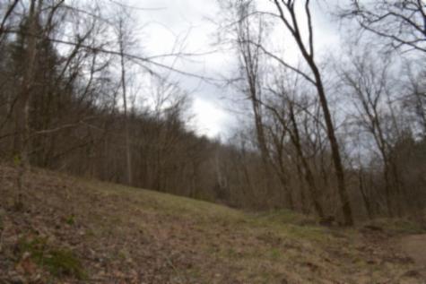 290 Hazel Huffines Lane Whitleyville TN 38588