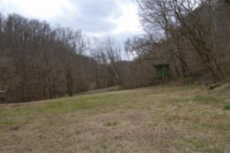 290 Hazel Huffines Lane Whitleyville TN 38588