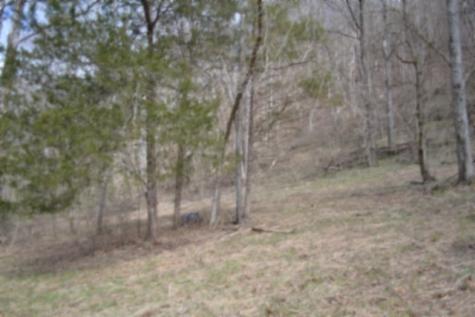 290 Hazel Huffines Lane Whitleyville TN 38588