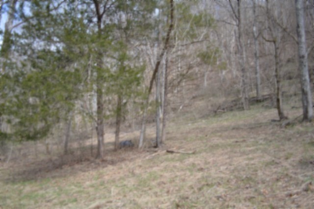 290 Hazel Huffines Lane Whitleyville TN 38588