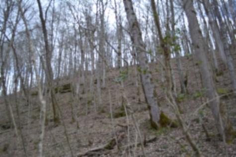 290 Hazel Huffines Lane Whitleyville TN 38588