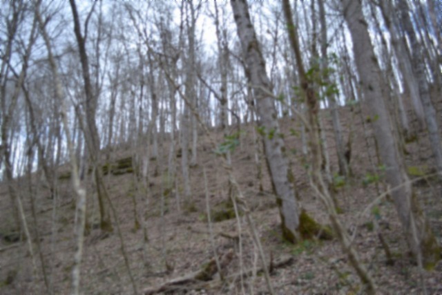 290 Hazel Huffines Lane Whitleyville TN 38588