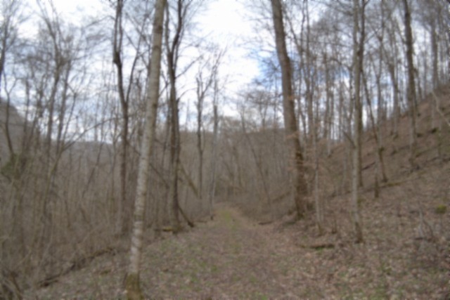 290 Hazel Huffines Lane Whitleyville TN 38588