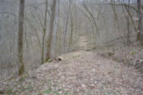 290 Hazel Huffines Lane Whitleyville TN 38588