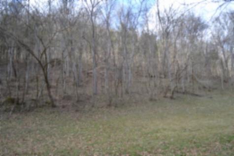 290 Hazel Huffines Lane Whitleyville TN 38588