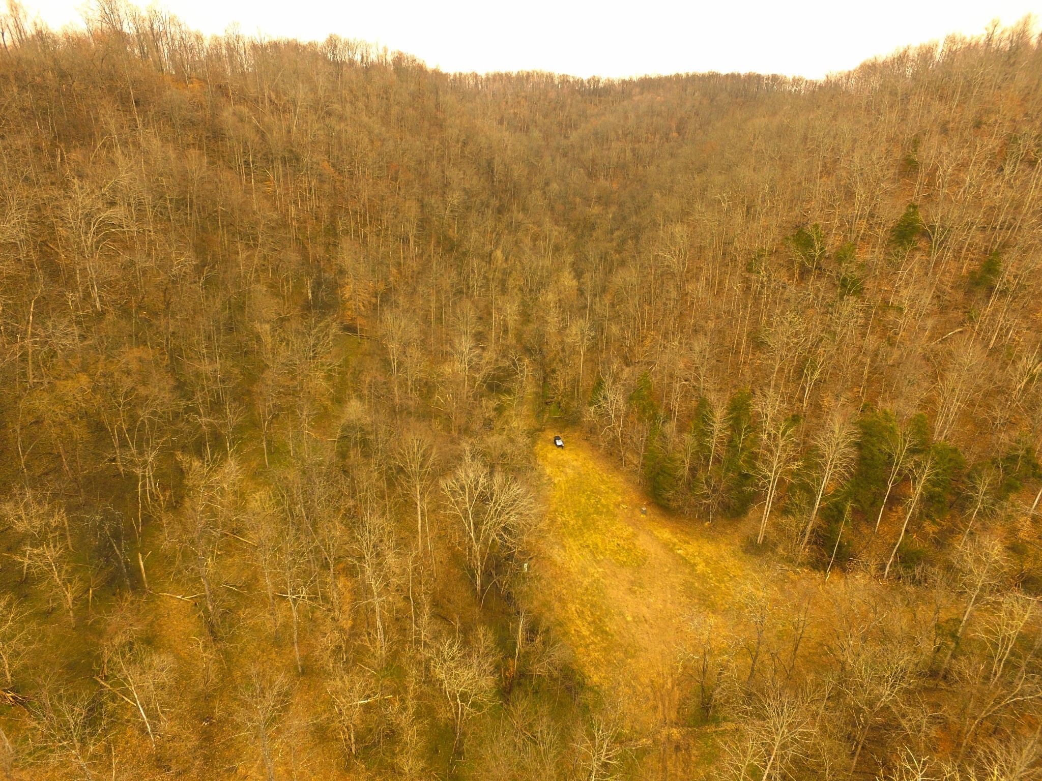 290 Hazel Huffines Lane Whitleyville TN 38588