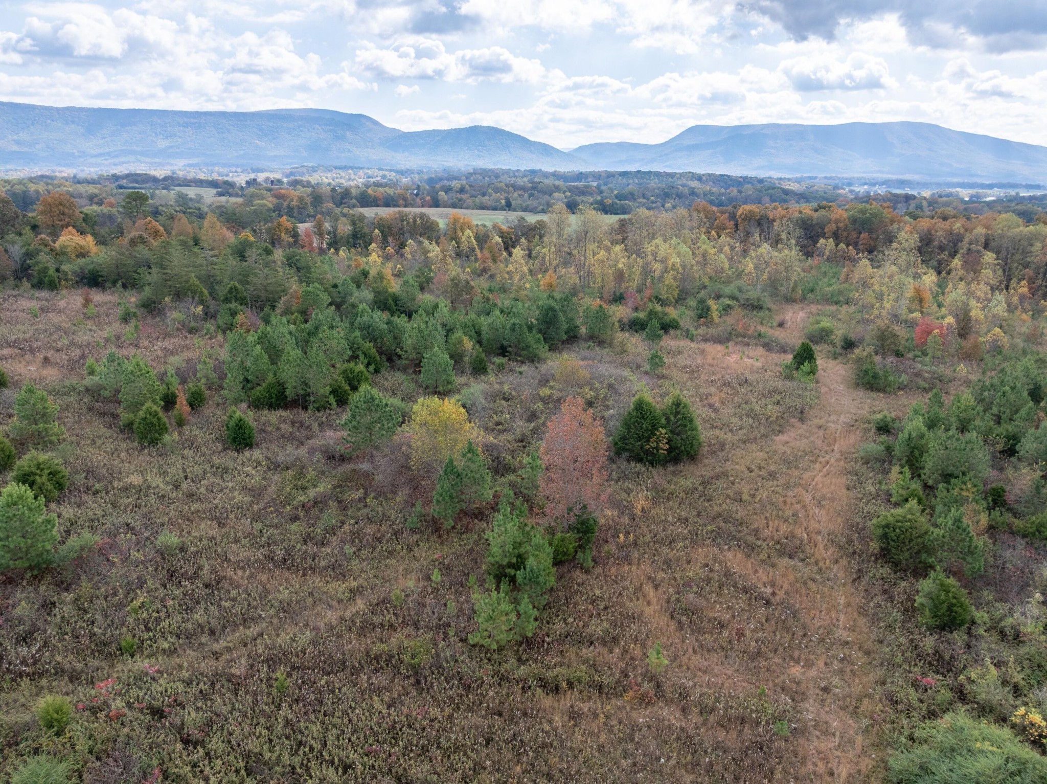 0 County Road 788 Etowah TN 37331