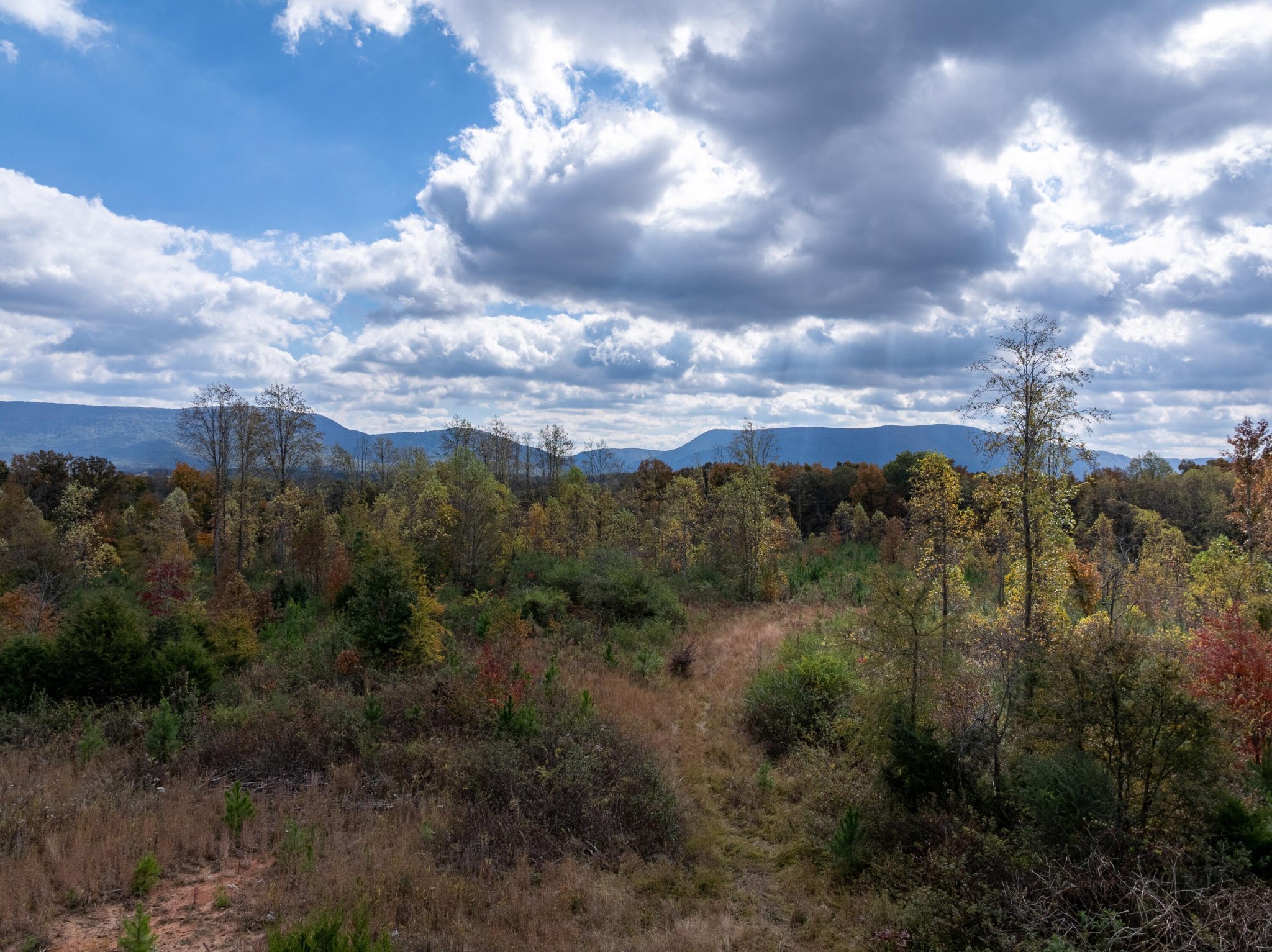 0 County Road 788 Etowah TN 37331