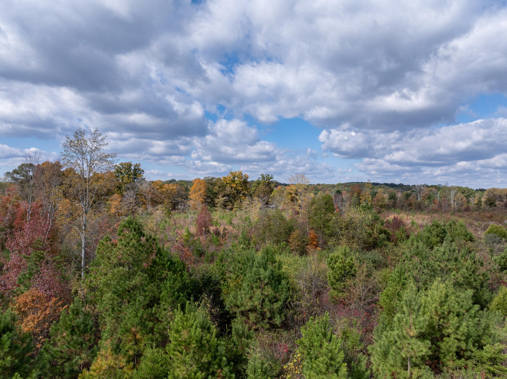 0 County Road 788 Etowah TN 37331