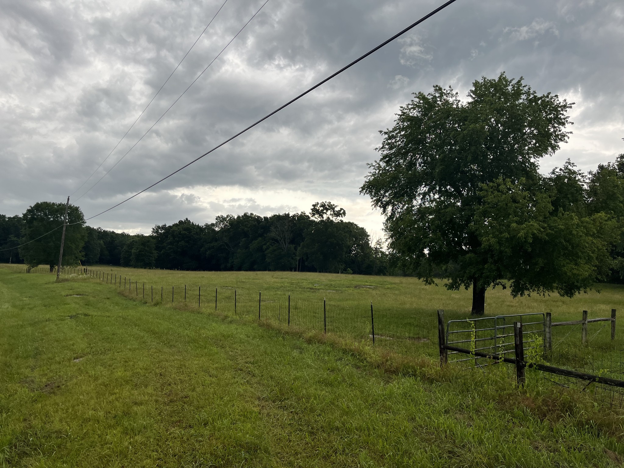 2824 Robert Truelove Road Columbia TN 38401