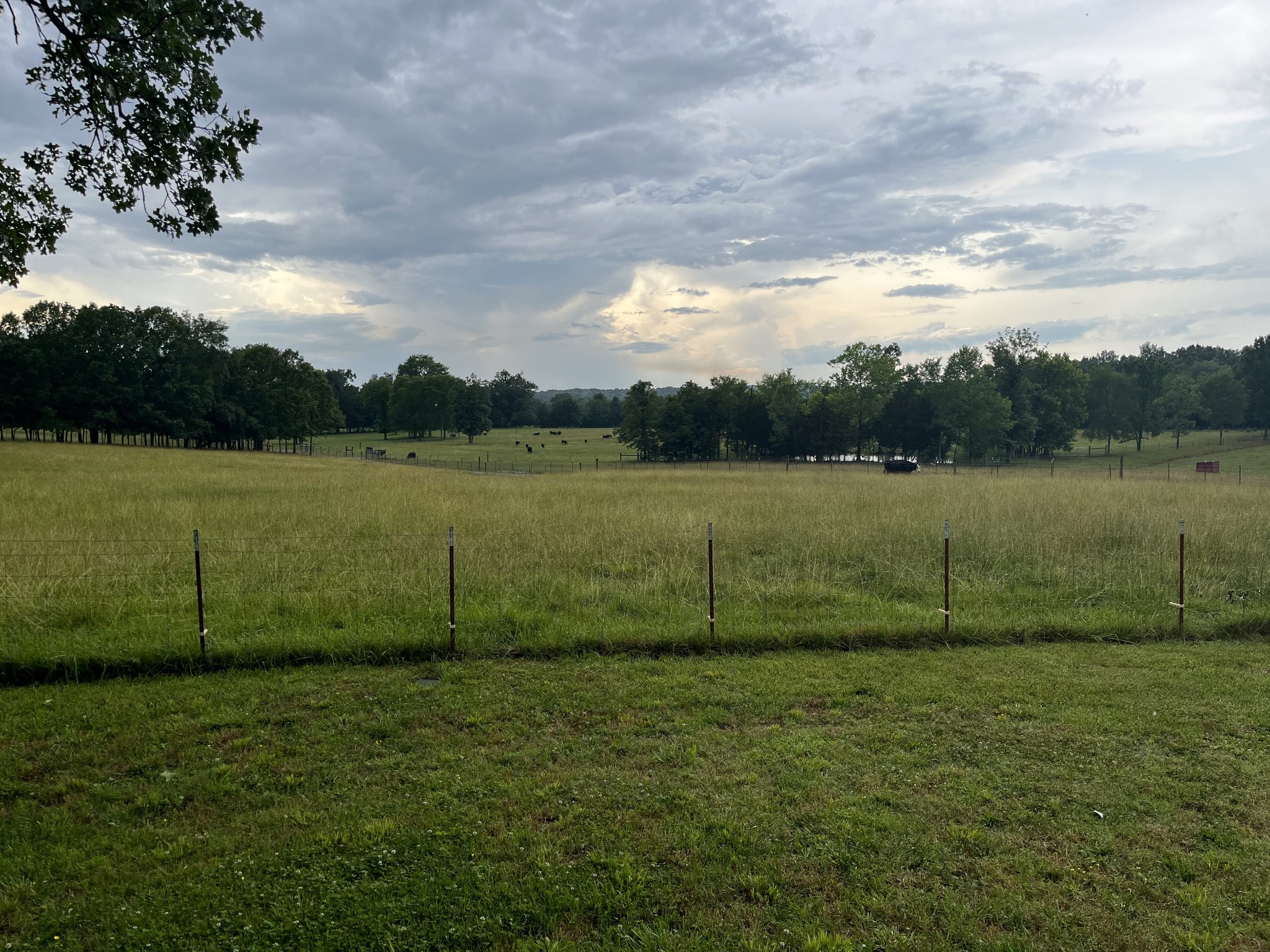 2824 Robert Truelove Road Columbia TN 38401