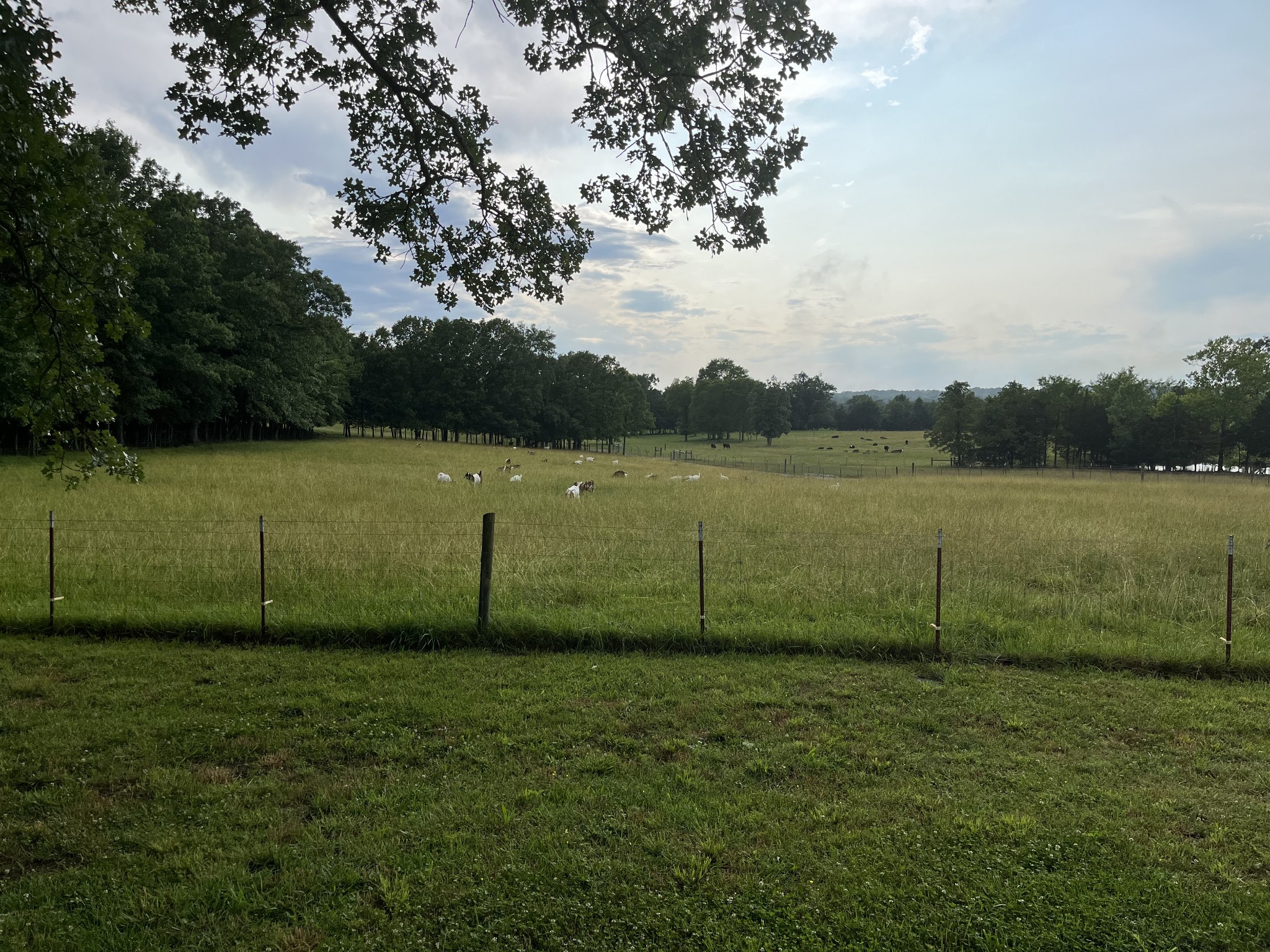 2824 Robert Truelove Road Columbia TN 38401