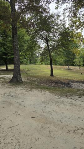 505 Winding Way Saltillo TN 38370