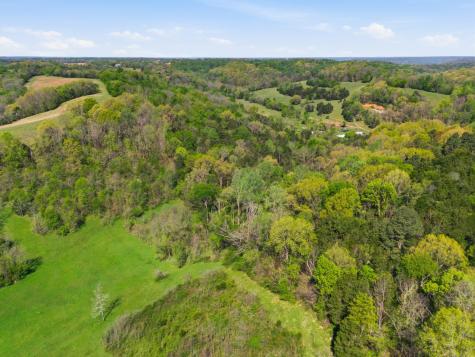 66 Thompson Hollow Road Taft TN 38488