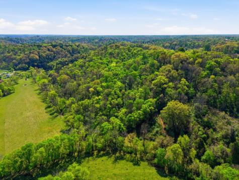 66 Thompson Hollow Road Taft TN 38488