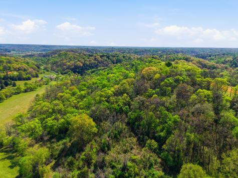 66 Thompson Hollow Road Taft TN 38488