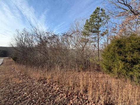 1 Deepwood Drive Murray KY 42071