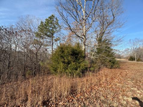 1 Deepwood Drive Murray KY 42071