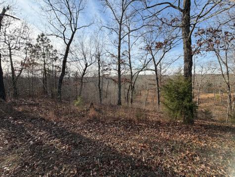 1 Deepwood Drive Murray KY 42071
