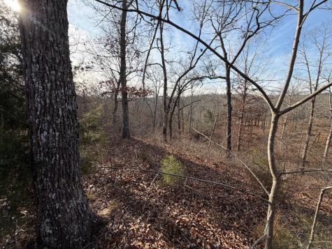 1 Deepwood Drive Murray KY 42071