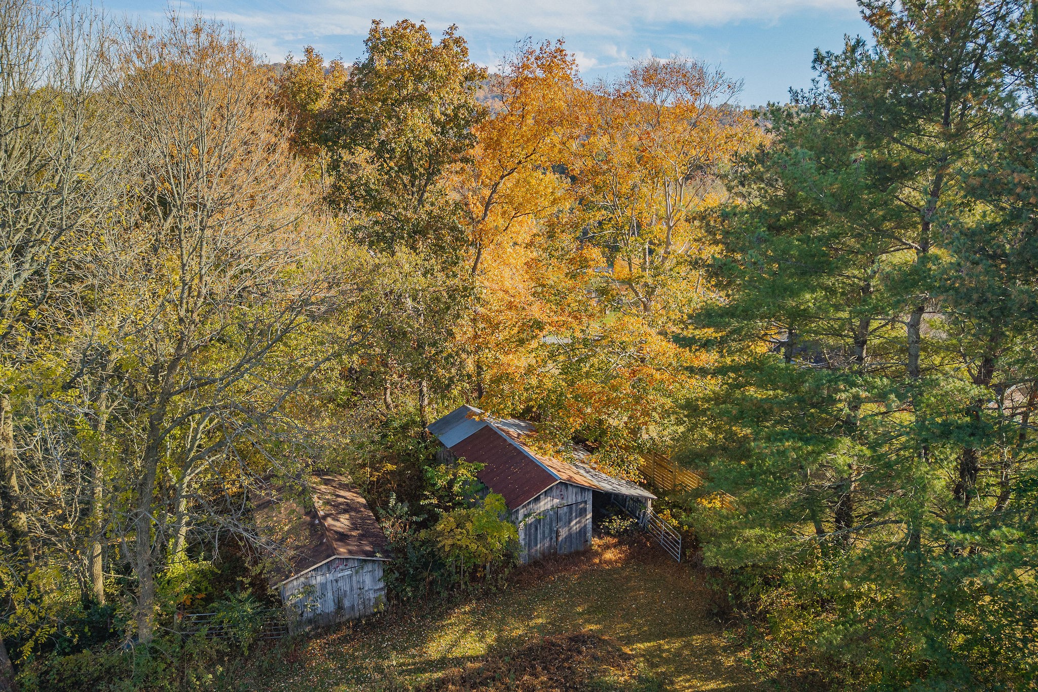 4143 Viola Road Mcminnville TN 37110