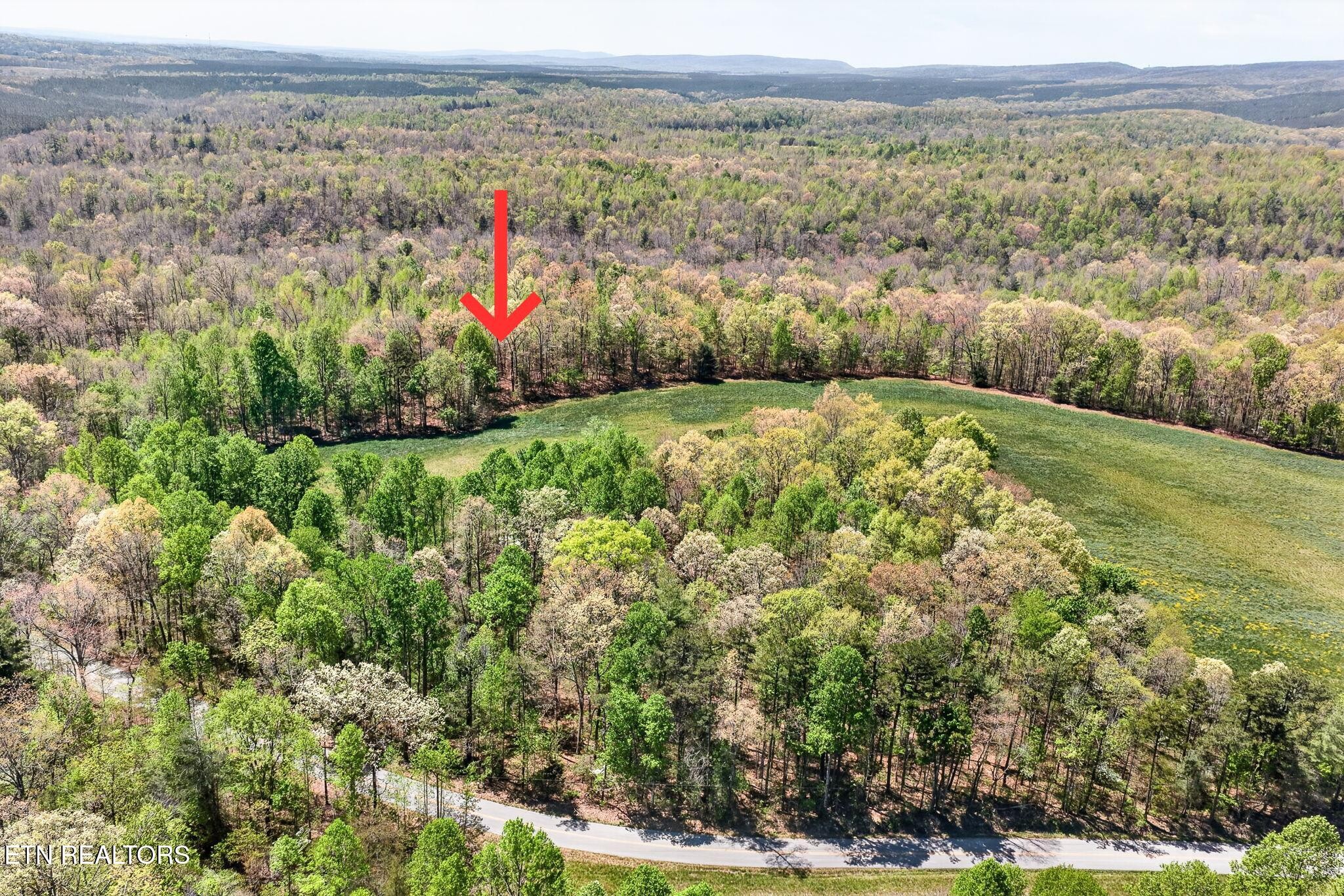5 Smith Mountain Road Rockwood TN 37854
