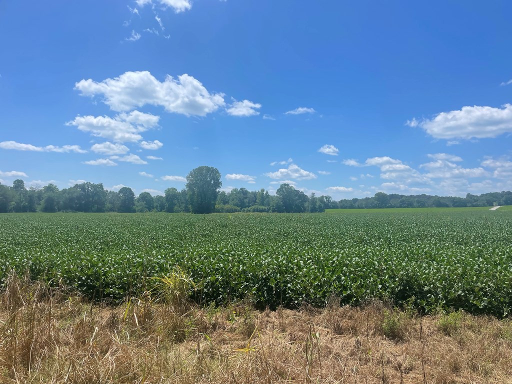 0 Ditty Road Cookeville TN 38506