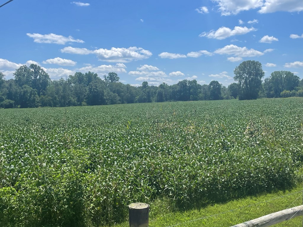 0 Ditty Road Cookeville TN 38506
