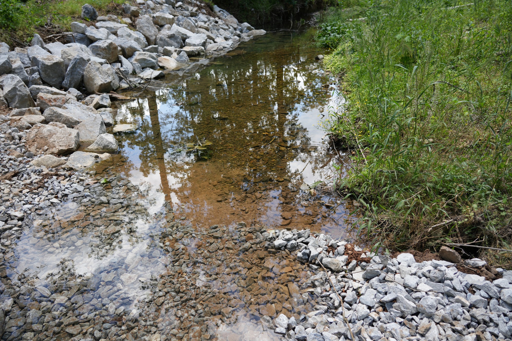1 Budds Creek Road Palmyra TN 37142