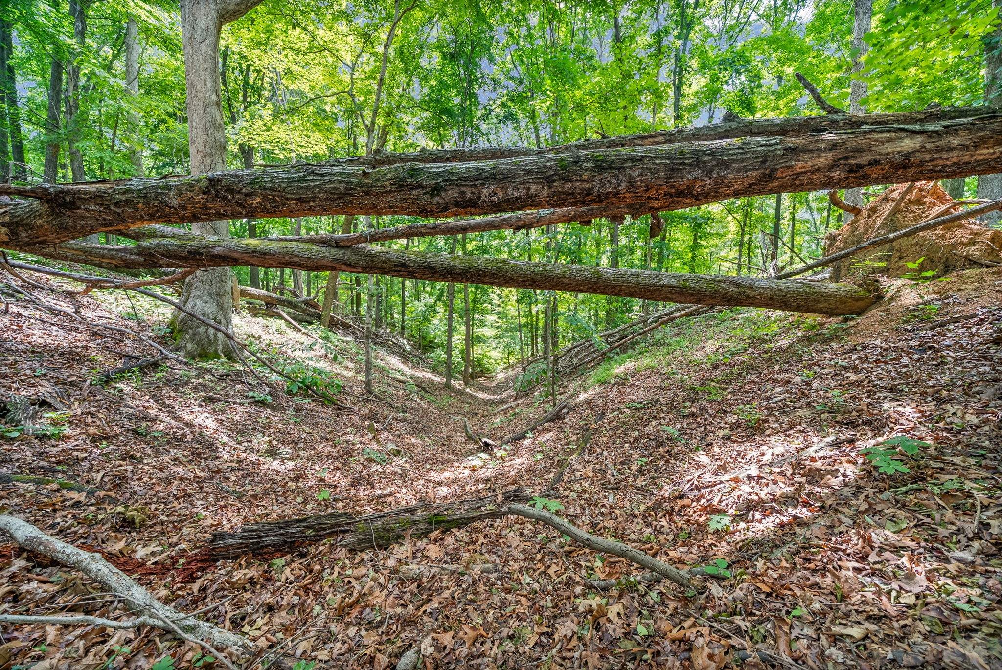 1 Budds Creek Road Palmyra TN 37142