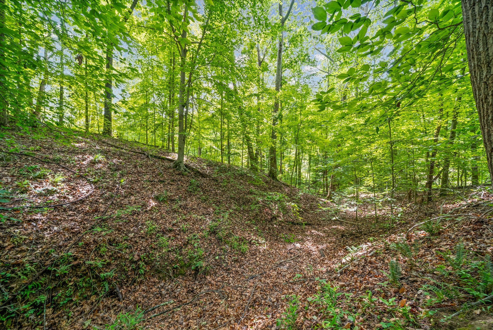 1 Budds Creek Road Palmyra TN 37142