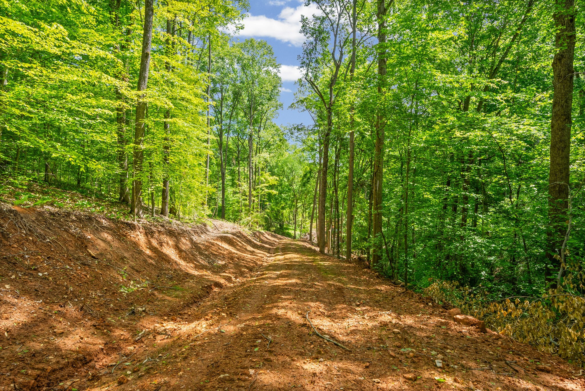 1 Budds Creek Road Palmyra TN 37142