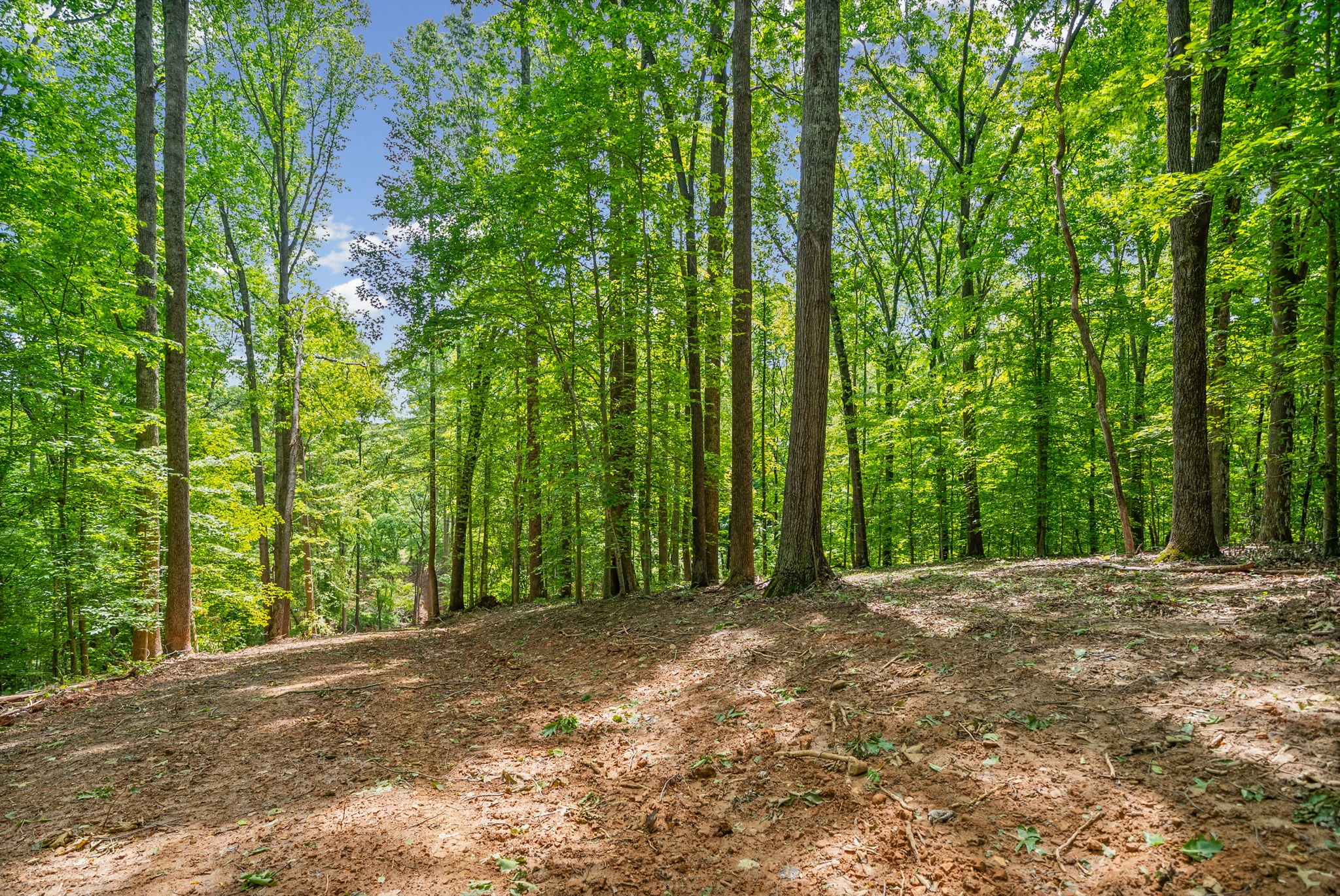 1 Budds Creek Road Palmyra TN 37142