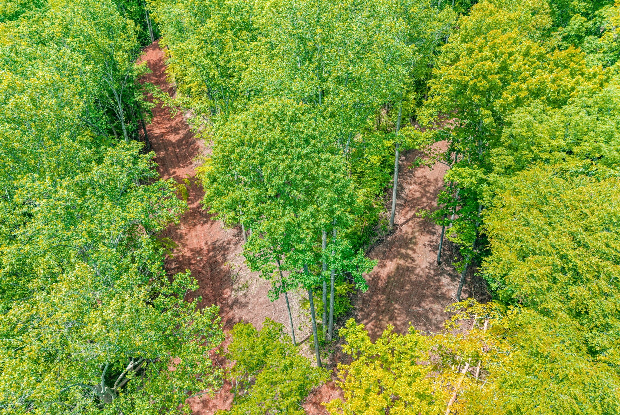 1 Budds Creek Road Palmyra TN 37142